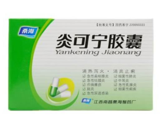 桑海炎可宁胶囊招商代理 18粒 江西南昌桑海