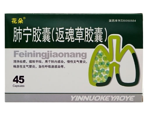 花朵肺宁胶囊(返魂草胶囊)招商代理 45粒