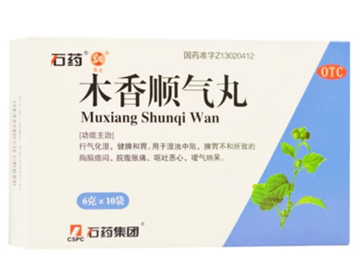 木香顺气丸招商代理 10袋 永丰药业