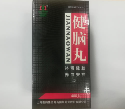 国风健脑丸招商代理 400丸