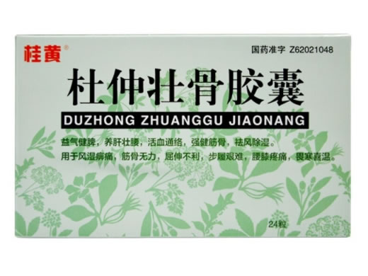 桂黄杜仲壮骨胶囊招商代理 24粒 桂黄