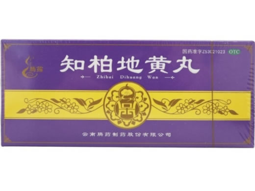 腾药知柏地黄丸招商代理 10丸 腾药