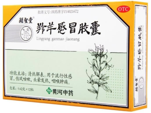 颐圣堂羚羊感冒胶囊招商代理 颐圣堂