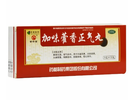 普济堂加味藿香正气丸招商代理 