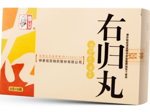 仲景右归丸招商代理 9袋 河南省宛西制药