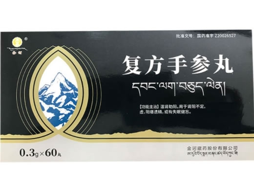 金诃复方手参丸招商代理 60丸