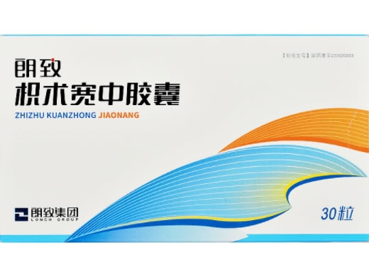 朗致枳术宽中胶囊招商代理 30粒 朗致