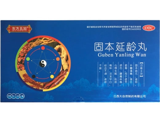 东方五加/龙种固本延龄丸招商代理 10丸