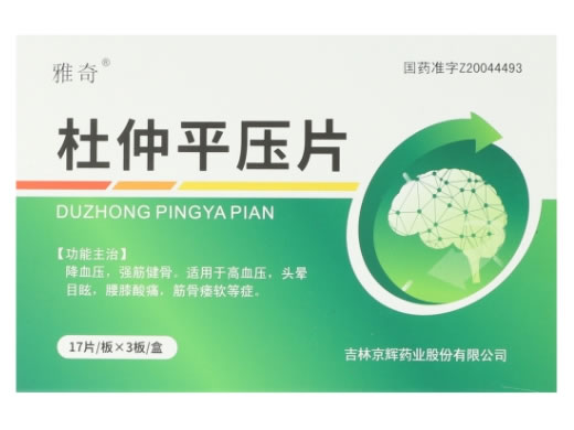 雅奇杜仲平压片招商代理 51片