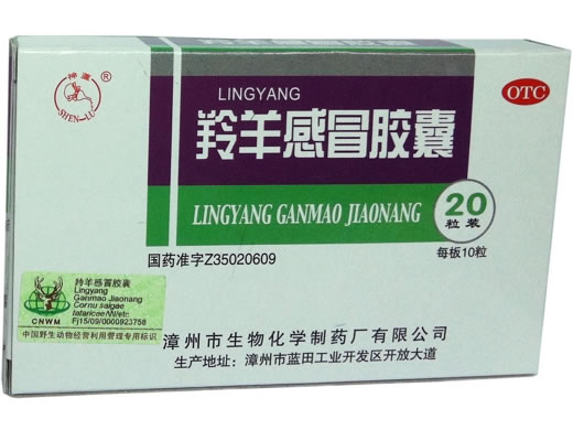 神芦羚羊感冒胶囊招商代理 20粒 神芦