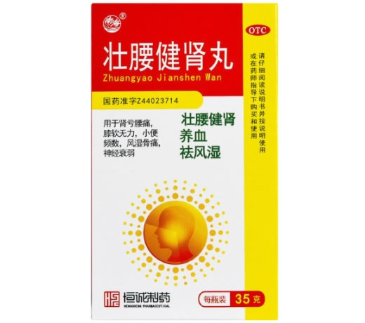 南海/恒诚制药壮腰健肾丸招商代理 35g