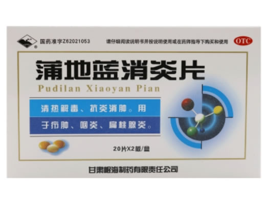 岷州蒲地蓝消炎片招商代理 40片 岷海制药