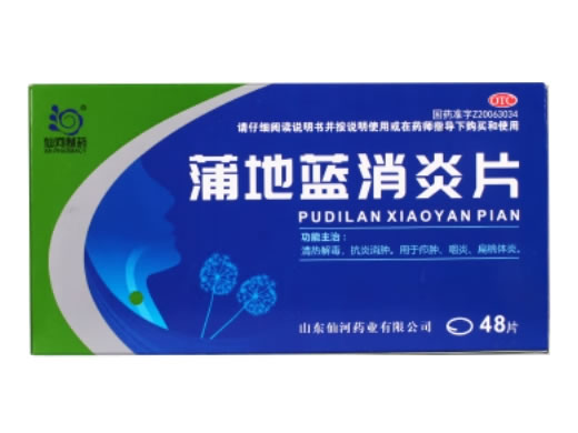 仙河制药蒲地蓝消炎片招商代理 48片