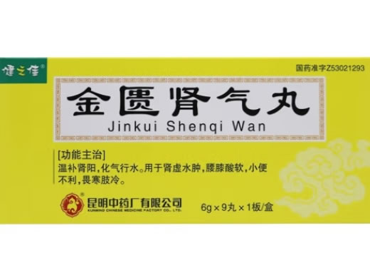 健之佳金匮肾气丸招商代理 9丸