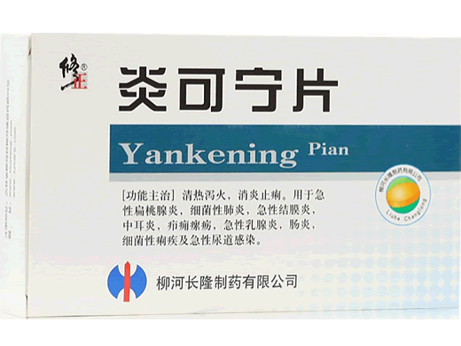 修正炎可宁片招商代理 