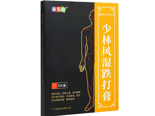少林风湿跌打膏招商代理 5片 粤威制药