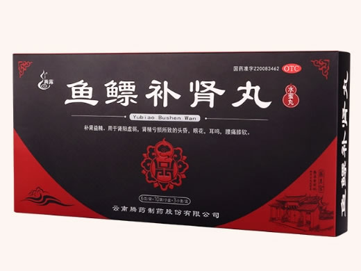 腾药鱼鳔补肾丸招商代理 10袋*3盒