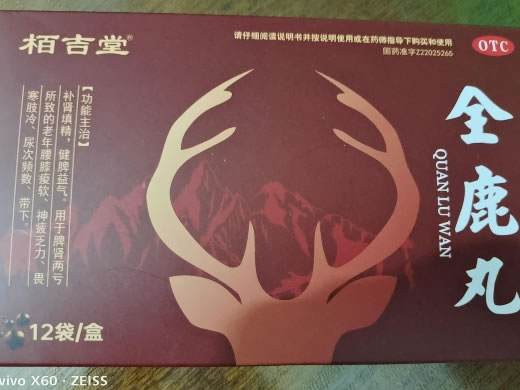 柏吉堂全鹿丸招商代理 12袋