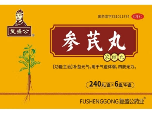 复盛公/复盛公药业参芪丸招商代理 240丸*6盒