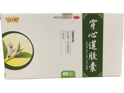 宣上医穿心莲胶囊招商代理 OTC版 宣上医