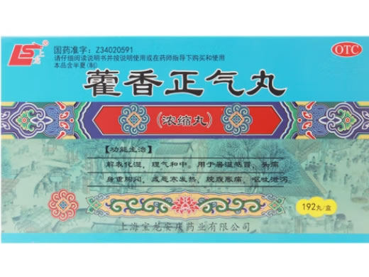 上龙藿香正气丸招商代理 192丸