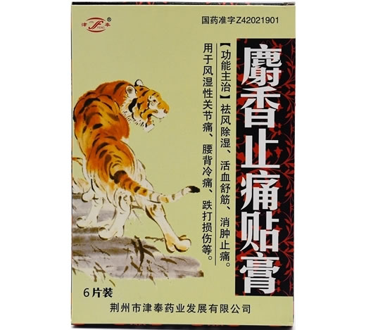 津奉麝香止痛贴膏招商代理 6片 荆州市津奉药业