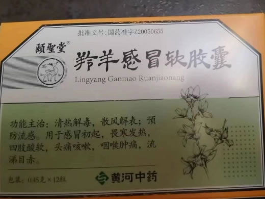 颐圣堂羚羊感冒软胶囊招商代理 