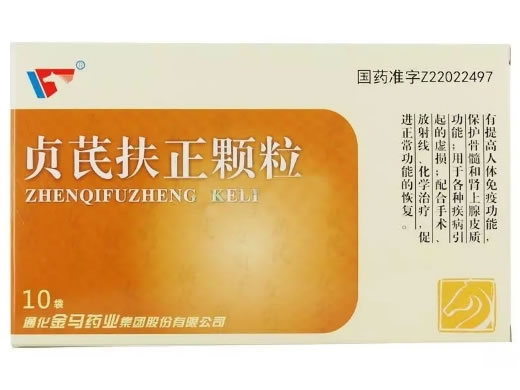 金马贞芪扶正颗粒招商代理 10袋 金马药业