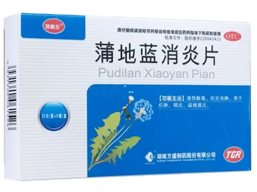 特格尔蒲地蓝消炎片招商代理 60片 方盛制药