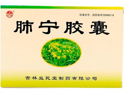 群山肺宁胶囊招商代理 36粒 吉林益民堂制药