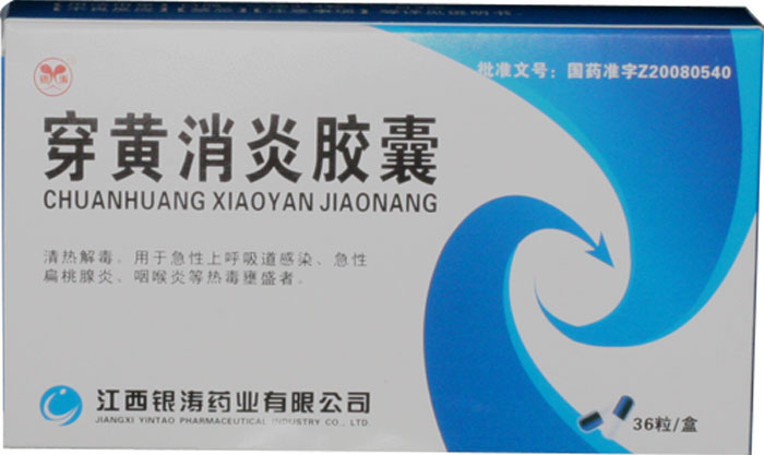 穿黄清热胶囊招商代理 :穿黄清热胶囊 0.4g*36粒 江西省银涛药业
