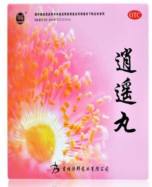 逍遥丸招商代理 :逍遥丸 9g*12袋 吉林济邦药业