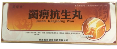 翼樂康蠲痹抗生丸招商代理 12丸 利君现代中药