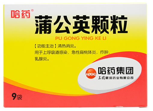 蒲公英颗粒招商代理 9袋 哈药集团