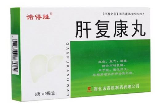 诺得胜肝复康丸招商代理 6g*9袋 诺得胜制药