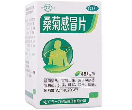 罗定桑菊感冒片招商代理 48片