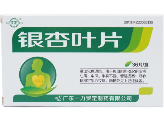 罗定银杏叶片招商代理 36片 一力罗定