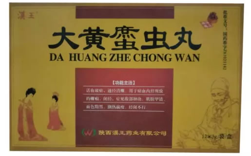 汉王大黄䗪虫丸招商代理 12袋