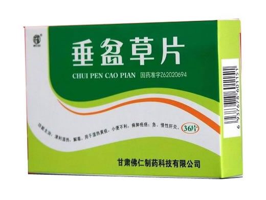 武都垂盆草片招商代理 36片