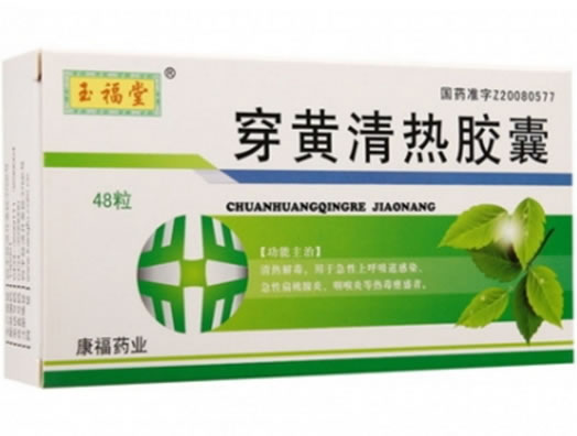 玉福堂穿黄清热胶囊招商代理 48粒