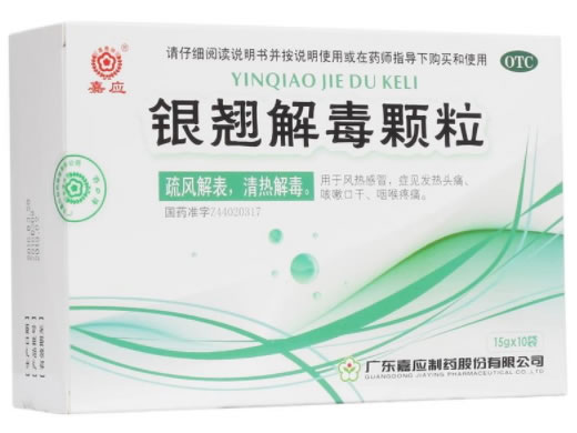 嘉应银翘解毒颗粒招商代理 嘉应