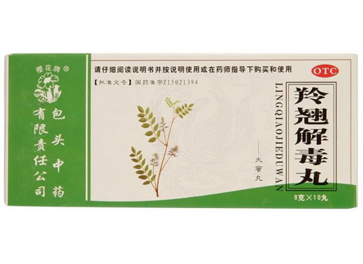 羚翘解毒丸招商代理 10丸 包头中药