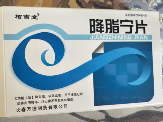 栢吉堂降脂宁片招商代理 30片