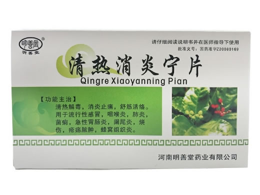 明善堂清热消炎宁片招商代理 0.51g*12片 河南明善堂药业
