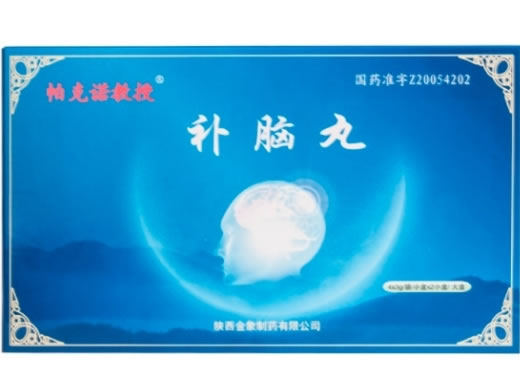 补脑丸