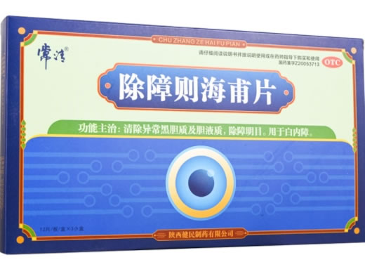除障则海甫片