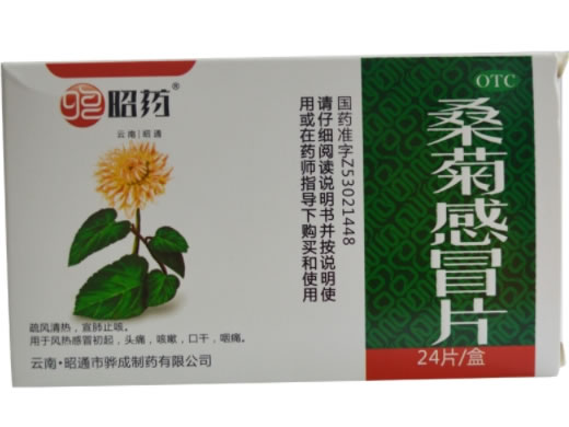 昭药桑菊感冒片招商代理 24片 昭药
