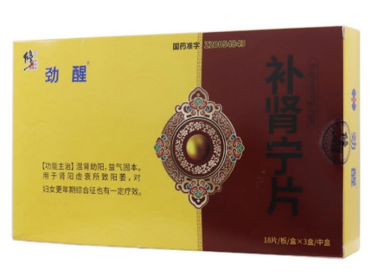 补肾宁片
