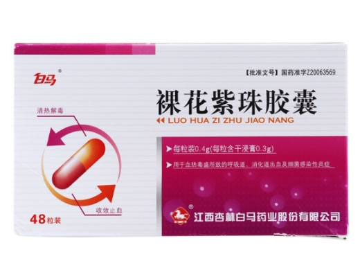 白马裸花紫珠胶囊招商代理 0.4g*48粒 白马