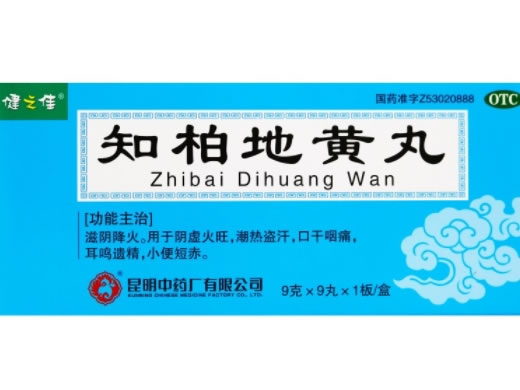 健之佳知柏地黄丸招商代理 9丸